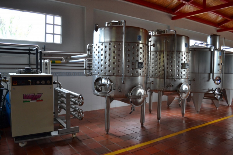 cave-NEOULES-min_wine_production_cantine_winery_drink_alcohol_vine_beverage-902036